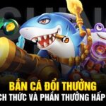 Nhà cái King88 - Sân chơi đẳng cấp cho giới cược đẳng cấp