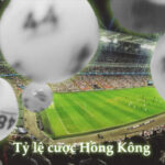 Khám Phá Chi Tiết Tỷ lệ kèo Hongkong