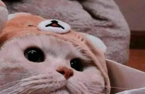 ảnh đại diện hài hước 34